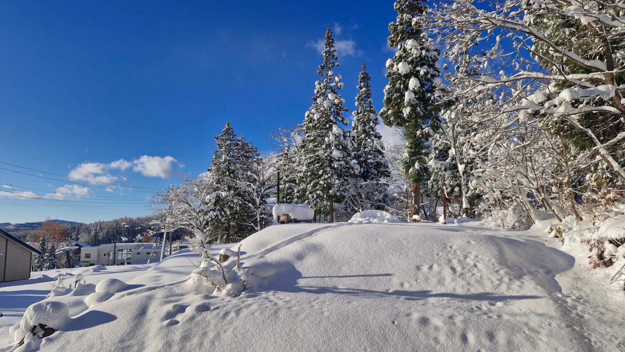 Kodama Lodge Otari Zewnętrze zdjęcie