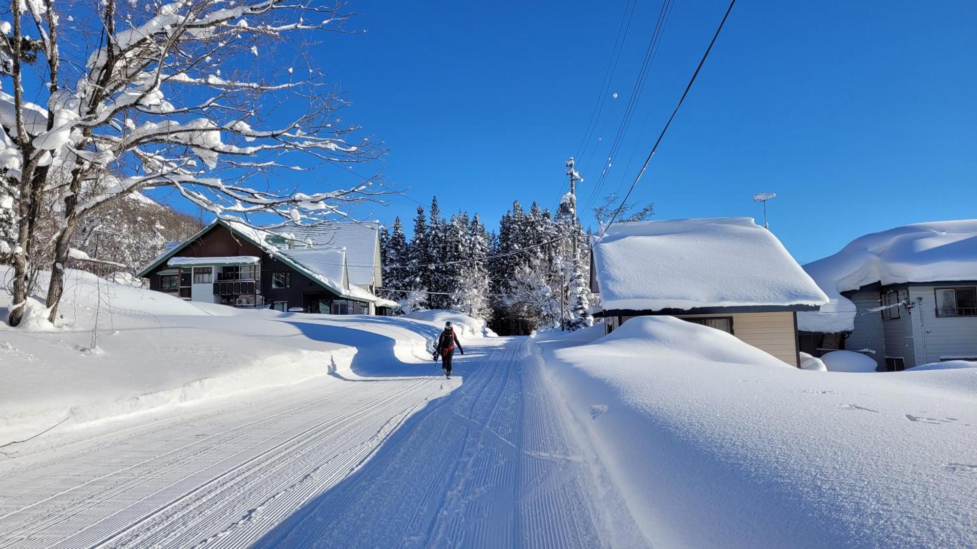 Kodama Lodge Otari Zewnętrze zdjęcie
